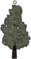 Christmas Tree (Mount Sohan).png